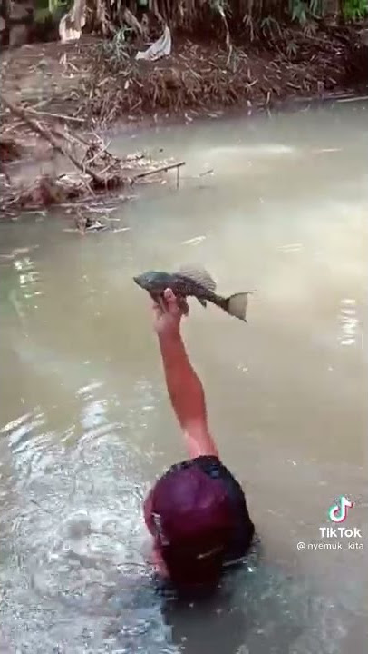 ASAL INSPIRASI OPENING INDOSIAR