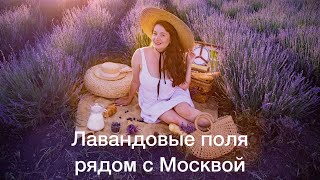 Лавандовые поля рядом с Москвой. Сколько ехать?