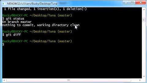 Git Tutorial - 8 - Viewing the Changes That You Made