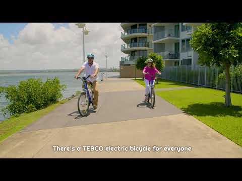 tebco folding electric bike