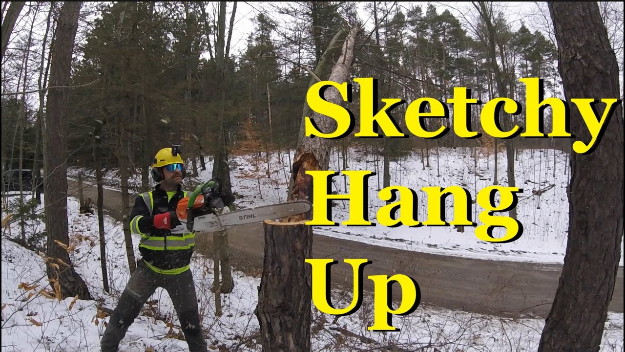 Hung Up Tree Removal - YouTube