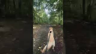 Video of Fish Creek Pond Campground, NY from Oleńka S.