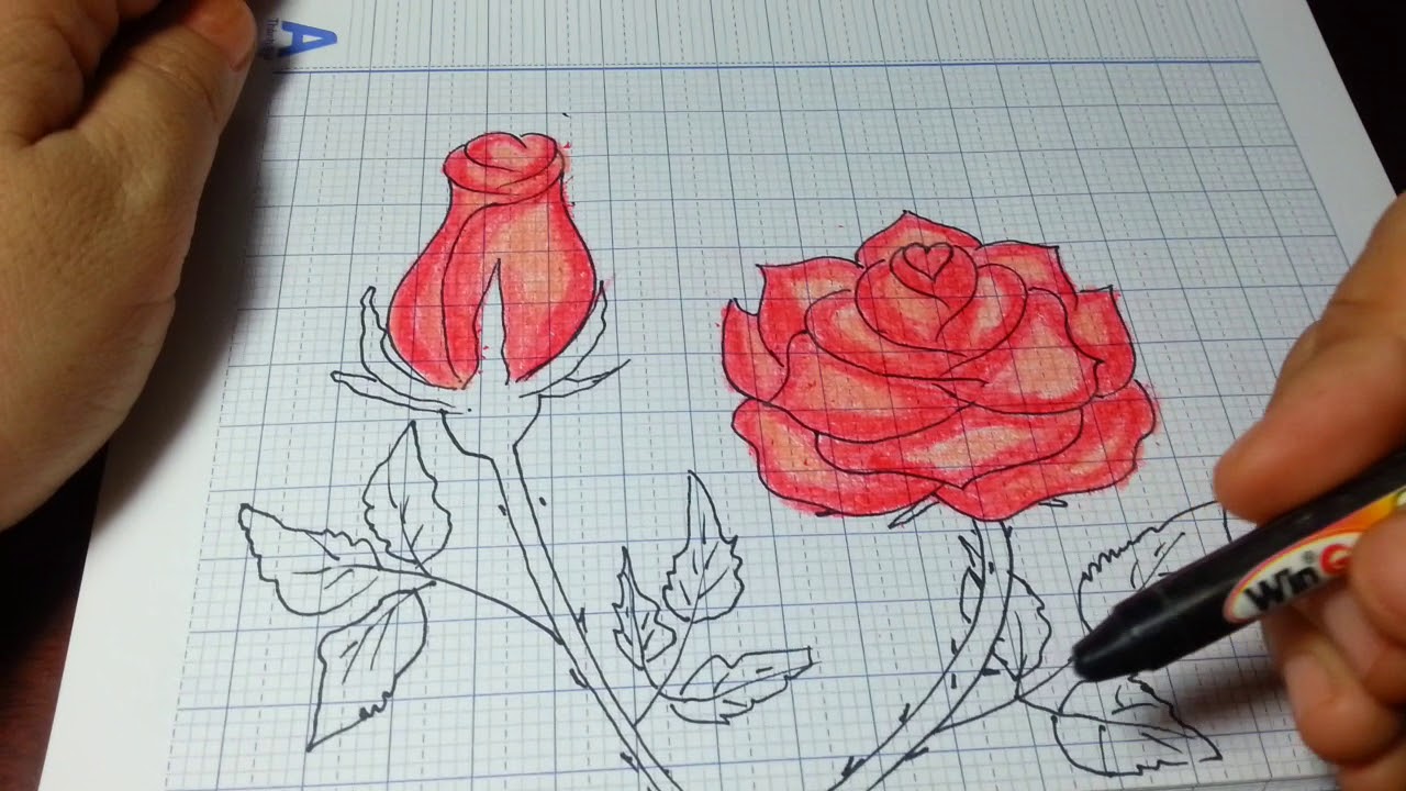 Vẽ Hoa Hồng Đơn Giản Nhất/How To Draw A Rose (And Add Color) Super Easy  Realistic - Youtube