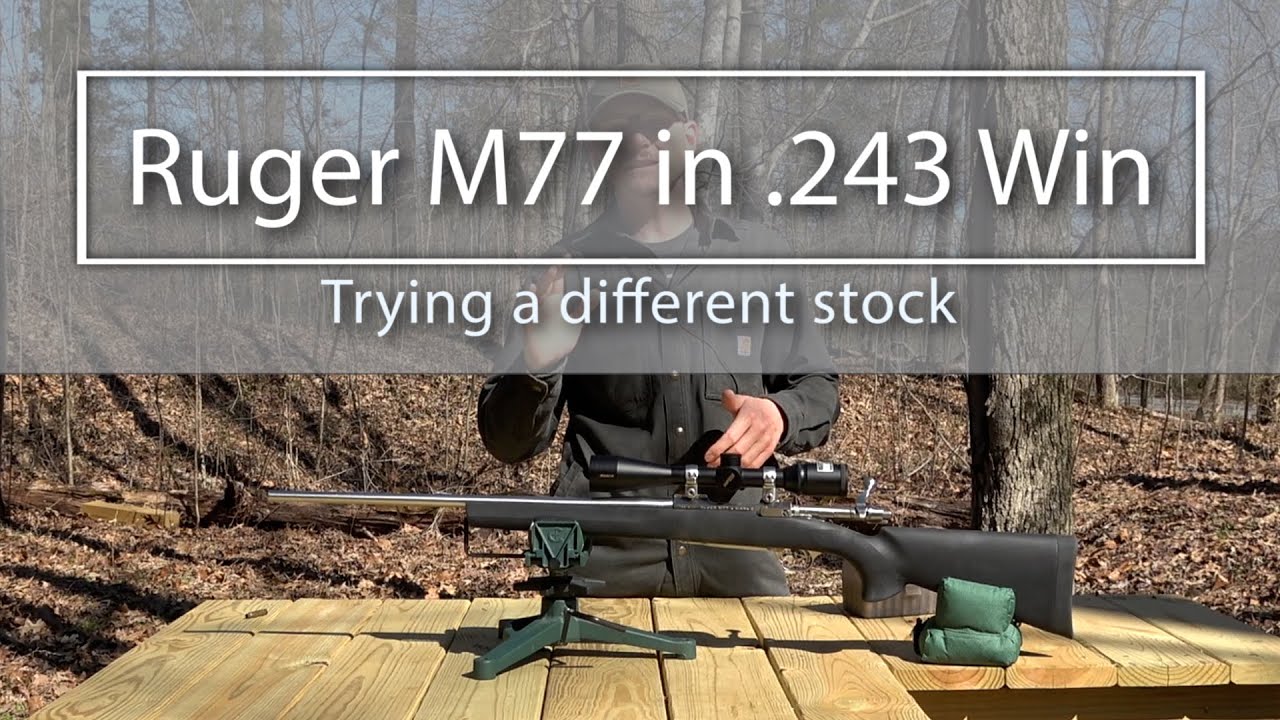 Ruger M77 in .243: Trying a different stock
