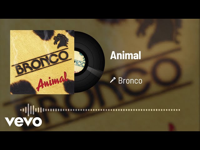 Bronco - Animal