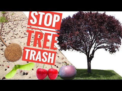 וִידֵאוֹ: Can You Sterilize A Tree - How To Keep Trees from Fruiting