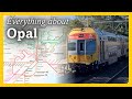 Everything about Opal - Fares, Caps and the Future thumbnail