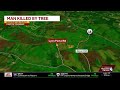 Contractor killed by fallen tree in Washington County, coroner says