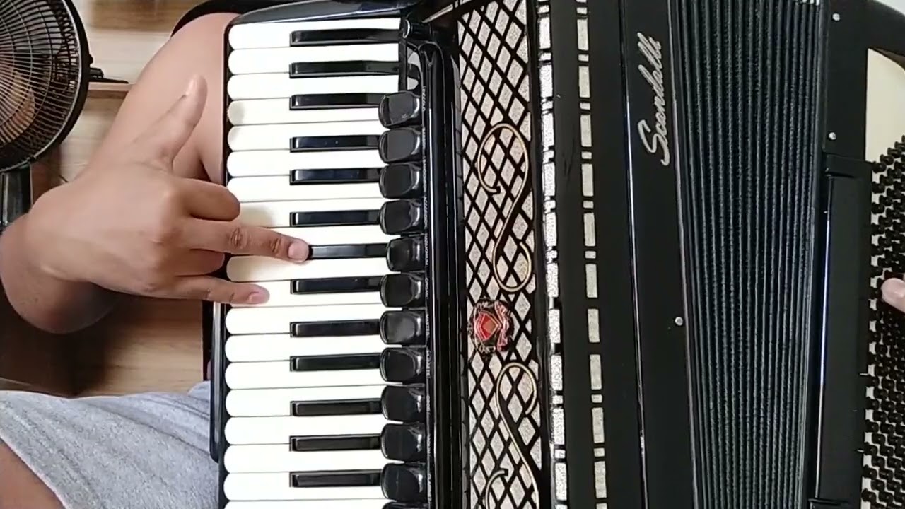 Vídeo Aula Acordeon 