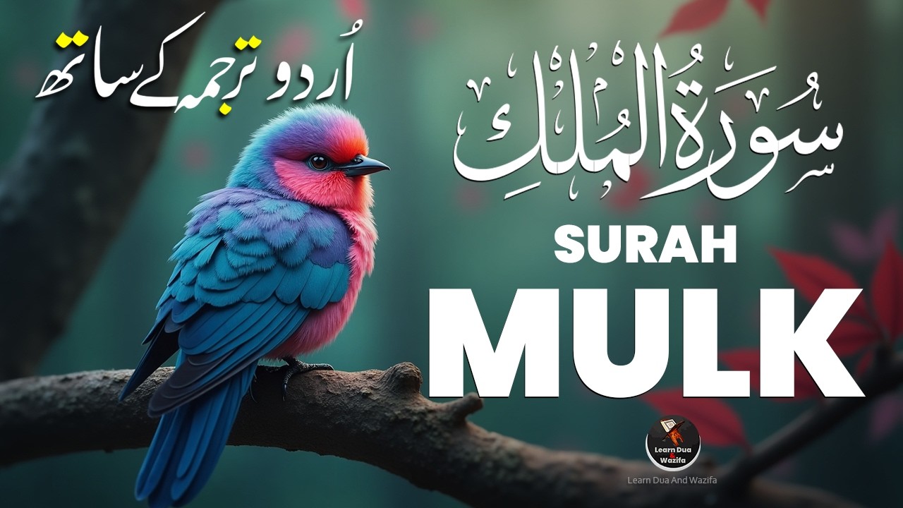 Surah Al-Mulk | Majestic Quran Recitation for Night Reflection and Serenity #surahmulk