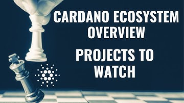 CARDANO ECOSYSTEM OVERVIEW | 50-100X CARDANO GEMS | NEW CARDANO PROJECTS TO WATCH