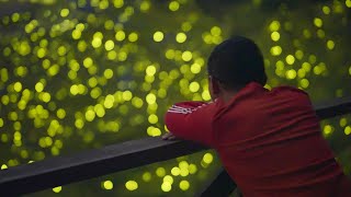 10000匹のホタルが輝く神秘の絶景 - 長野県辰野町 松尾峡のゲンジボタル - (shot on SONY FX3)
