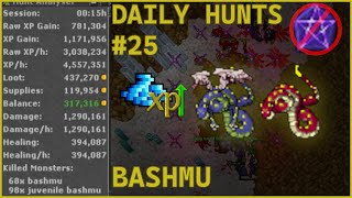 Tibia | Monk 517 | Bashmu | Daily Hunt #25