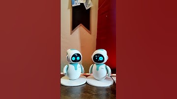 Eilik Robots- The boys are at it again🤣#robot #realrobot #robotics #eilik #eilikrobot