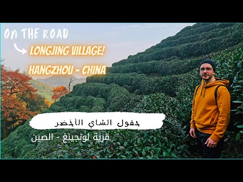 حقول الشاي الاخضر في الصين Discover Longjing Tea Fields In Hangzhou China 