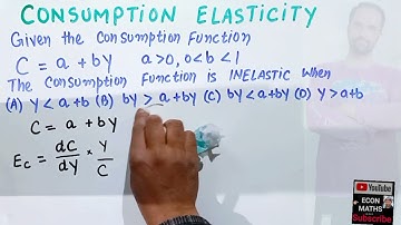 Consumption function and elasticity