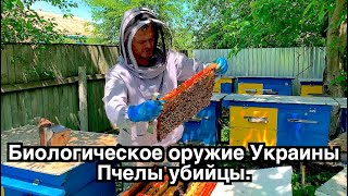 Пчелы убийцы. Американские биолаборатории в Украине/ The Killer Bees. LIFE in the Ukrainian Village