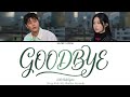 Goodbye Seungmin Stray Kids 9th Member Karaoke By Skzwithirish 