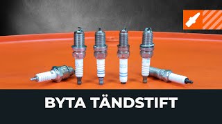 Byta Tändstiften on : verkstadshandbok