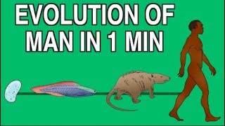 EVOLUTION OF MAN IN 1 MINUTE 
