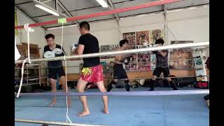 2022102309 toellgym.com