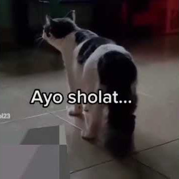 pertanda kiamat udah muncul dari suara kucing ajakin kita sholat mau kiamat