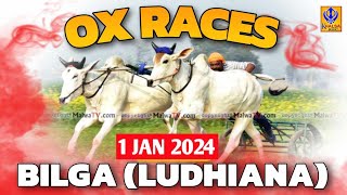 🔴[Live] Bilga | Ludhiana | Ox Races | 01 Jan 2024