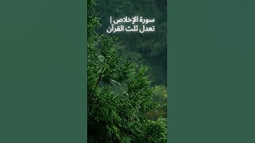 سورة الإخلاص | تعدل ثلث القرآن | تلاوة خاشعة ومريحة للقلب 🌿
