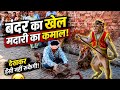 बंदर का खेल देखकर लोग रह गए हैरान 😲 | मदारी और बंदरों का मजेदार शो | Funny Monkey Show