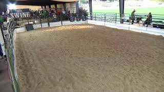 Summit County, Utah Fair 2024