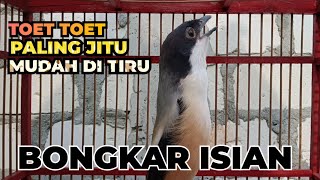 Pancingan Cendet Gacor Toet Toet Bongkar Isian Paling Jitu Mudah Di Tirukan Cendet Jenis Apapun