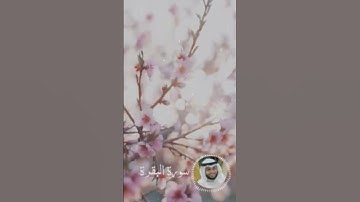 أرح سمعك 🥀القارئ: أحمد النفيس 🍃حالات واتس آب