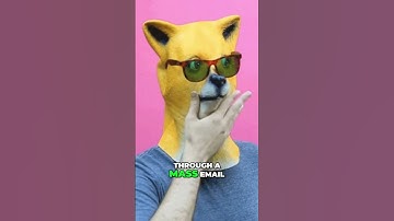 Curious about the ultimate solution to keep your emails out of spam? Ever heard of Instantly?