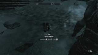 skyrim ANY ITEM duplication glitch commentary