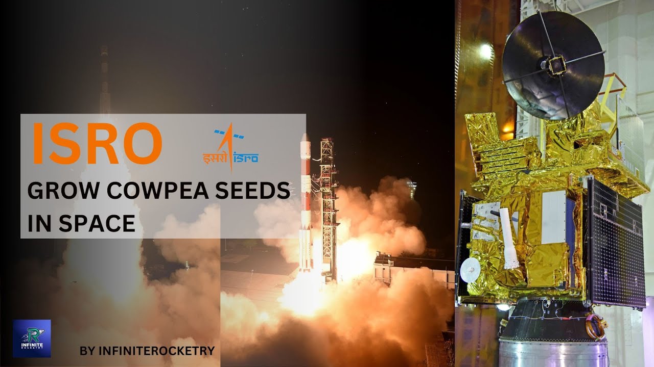 ISRO grow plants in space - YouTube