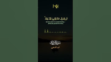 القارئ / أنور الشرعبي #قرآن #تلاوات