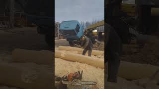 лунный паз