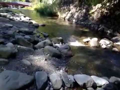 こまのさわキャンプ場 14年9月28日 Youtube こまのさわキャンプ場 14年9月28日 Youtube