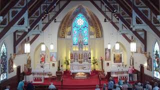 Our Lady of Ostrabrama: 11:00am Mass - 11th Sunday in Ordinary Time 6/14/2026