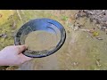 Panning for gold demonstration and finding some gold!