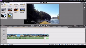 Freeze Frame - Adobe Premiere Elements