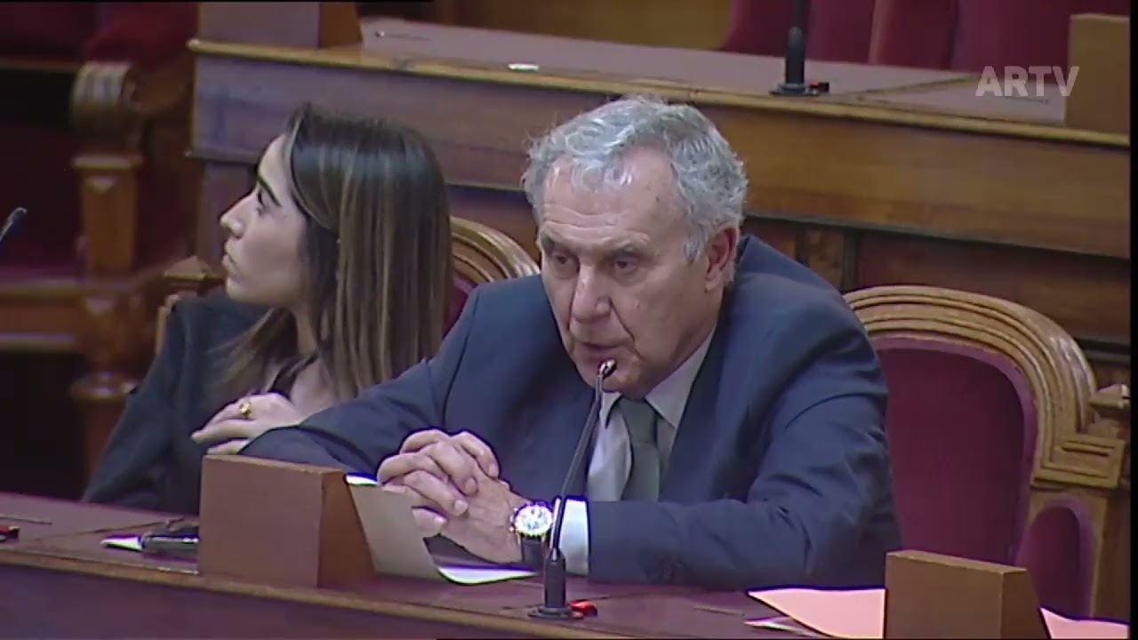 Intervenção de António Rodrigues na Comissão de Assuntos Constitucionais