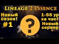 ЛЕГЕНДАРНЫЙ СТАРТ в Lineage 2 Essence! Новый сезон выживания 1 55 лвл за час! Новые сервера #1