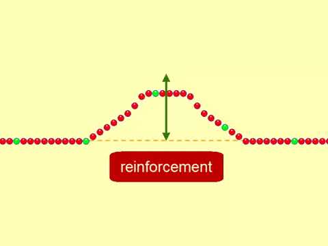 25.3 - Wave Types and Interference