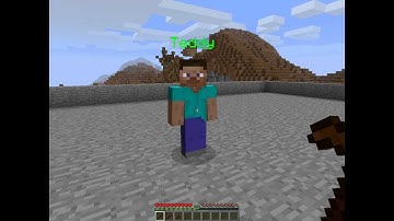 Minecraft - Custom NPC