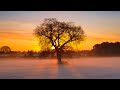 ✨ Beautiful Winter Relaxing Piano Music - Best Deep Mediation Music - Peaceful Study Yoga Music #25