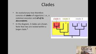 B2-6 Taxonomy & Systematics