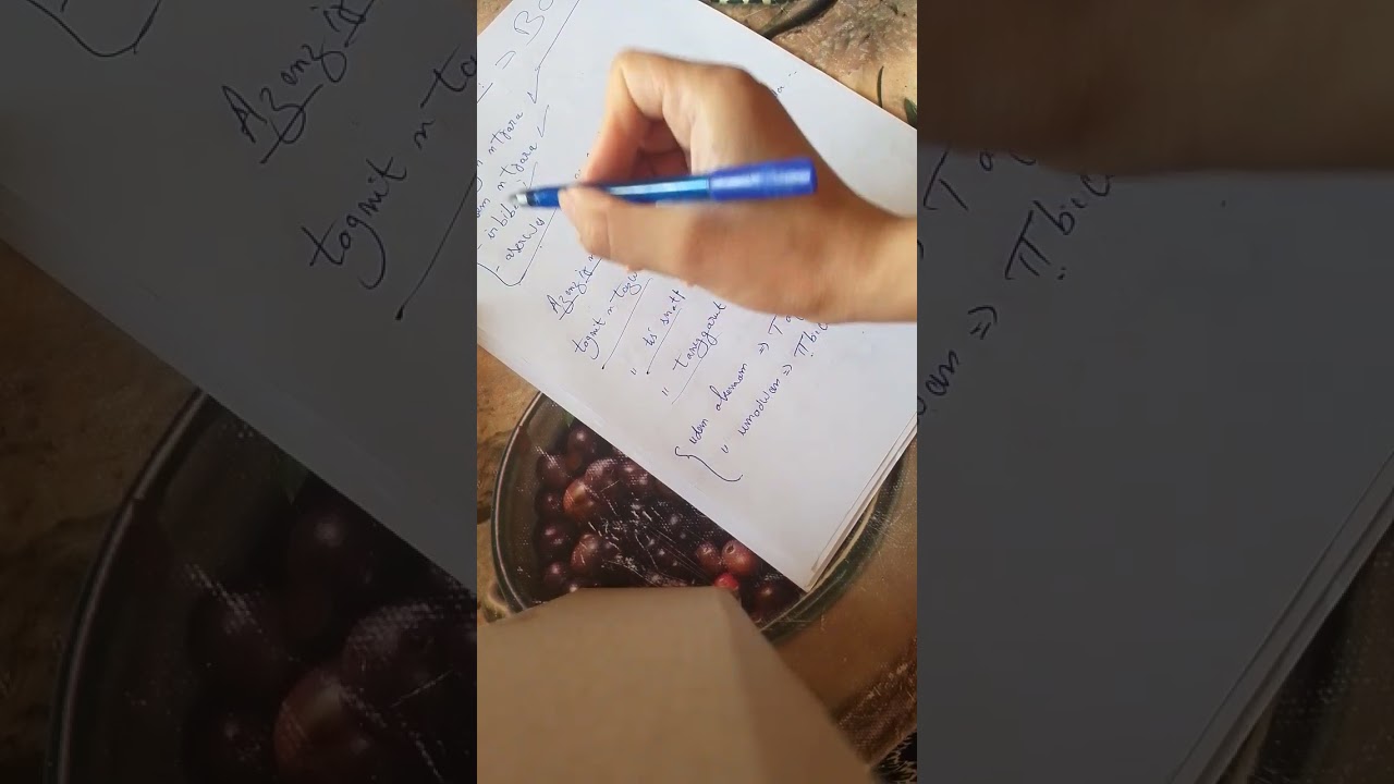 Adris agelman #tamazight #bac_2026 