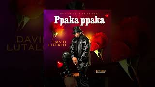 Ppaka Ppaka ❤️ 🫶  -  David Lutalo (Official Music Audio)