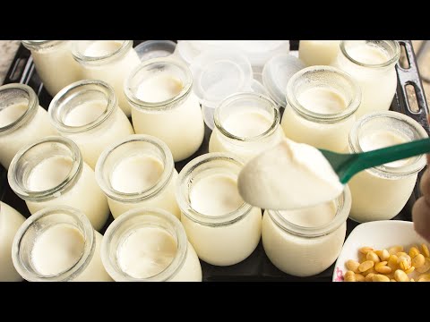 Video CÁCH LÀM SỮA CHUA ĐẬU NÀNH Ủ KHÔ DẺO NGON (KHÔNG CẦN... - youtube